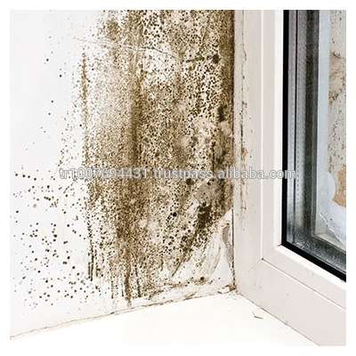 Impregnation Material Anti Bacterial Wall Paint